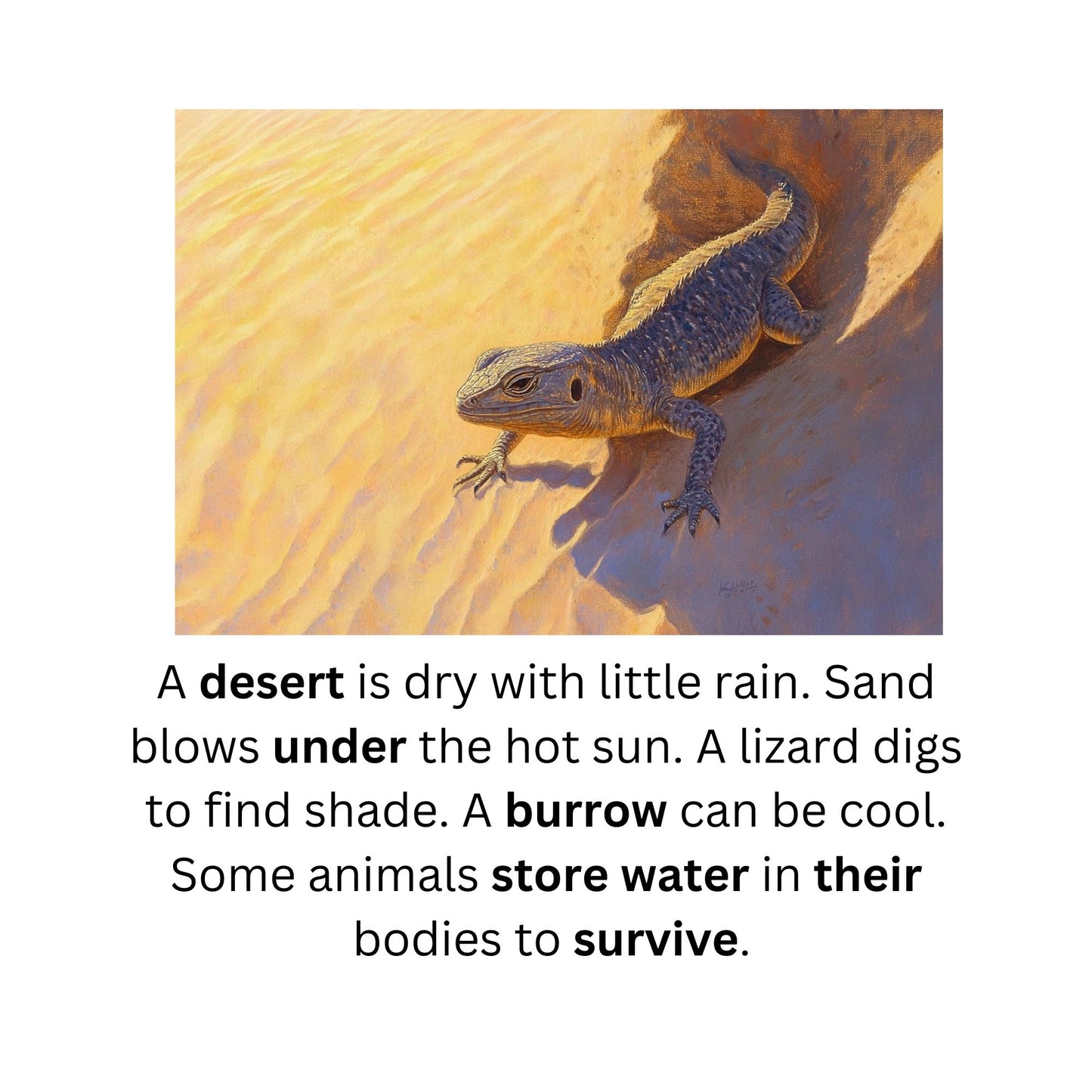 Learn to Read with Orton Gillingham Decodable Readers: Animal Habitats and Controlled R Sounds