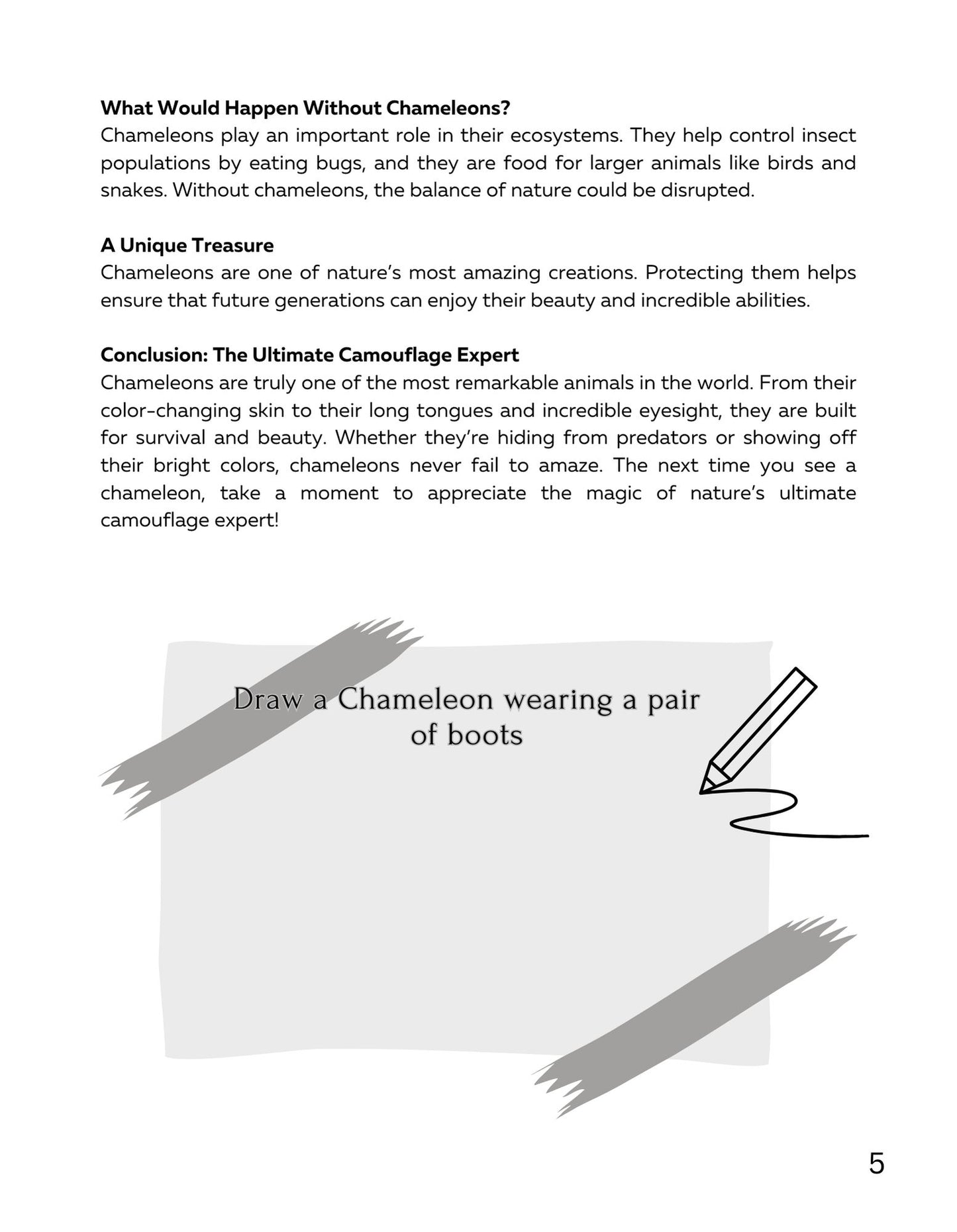 30 Minute Reading Test Grade 3:Animal Camouflage