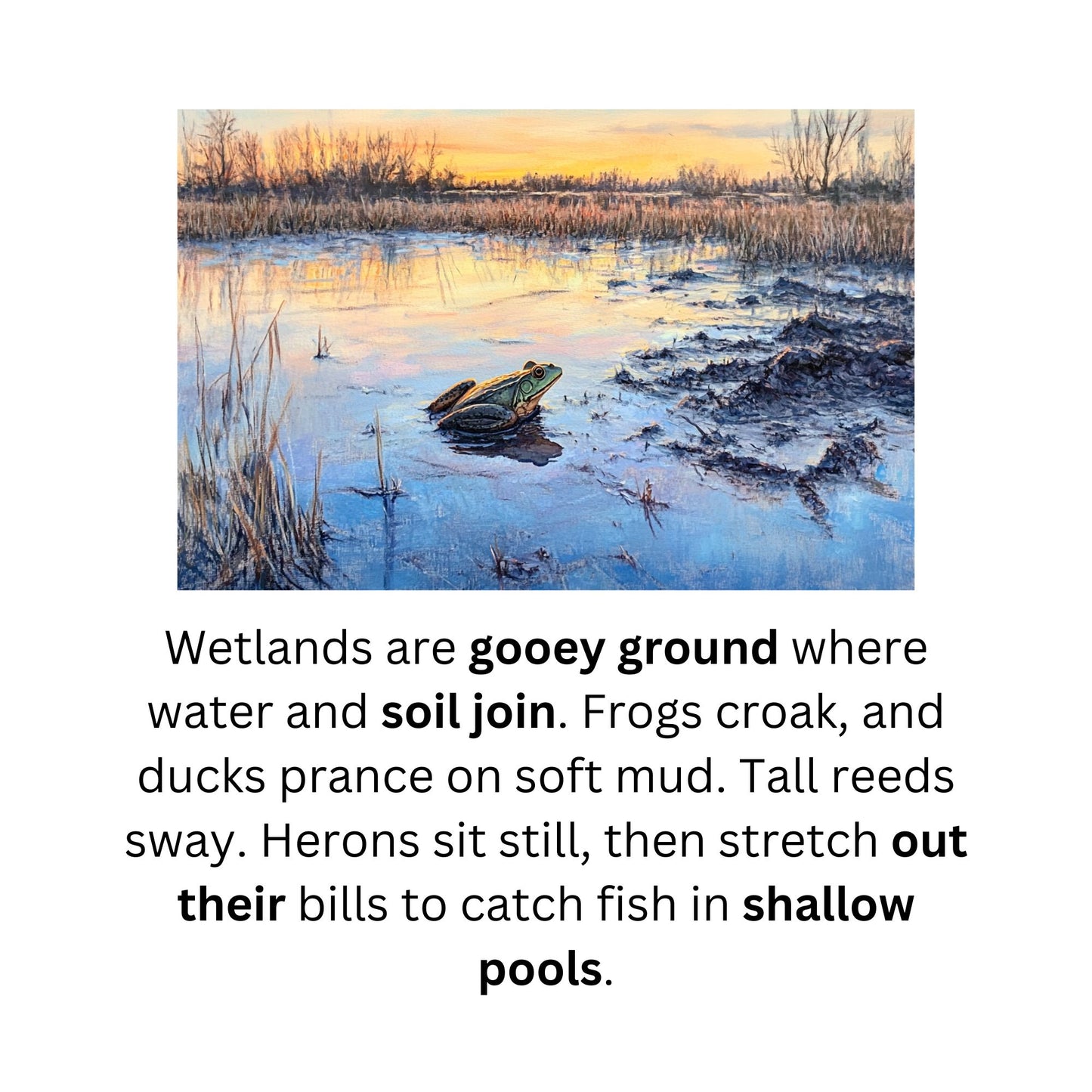 Learn to Read with Orton Gillingham Nonfiction Decodable Readers: Animal Habitats and Diphthongs. Instant Download.
