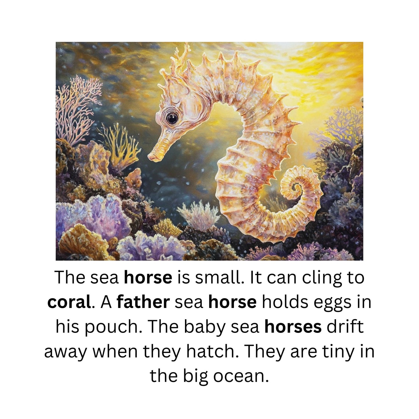 Learn to Read with Orton Gillingham Nonfiction Decodable Readers: Ocean Life and Controlled R Sounds