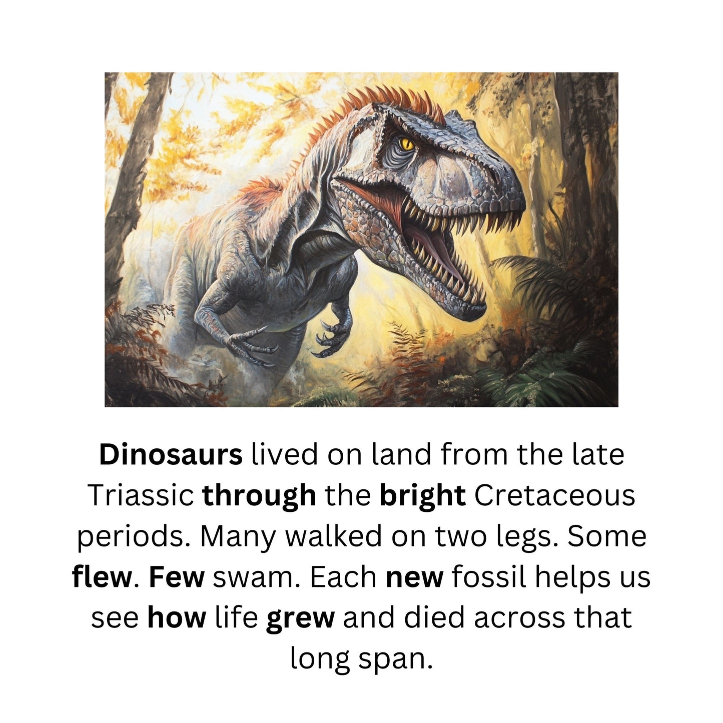 Learn to Read with Orton Gillingham Nonfiction Decodable Readers: Diphthongs, Fossils, and Dinosaurs