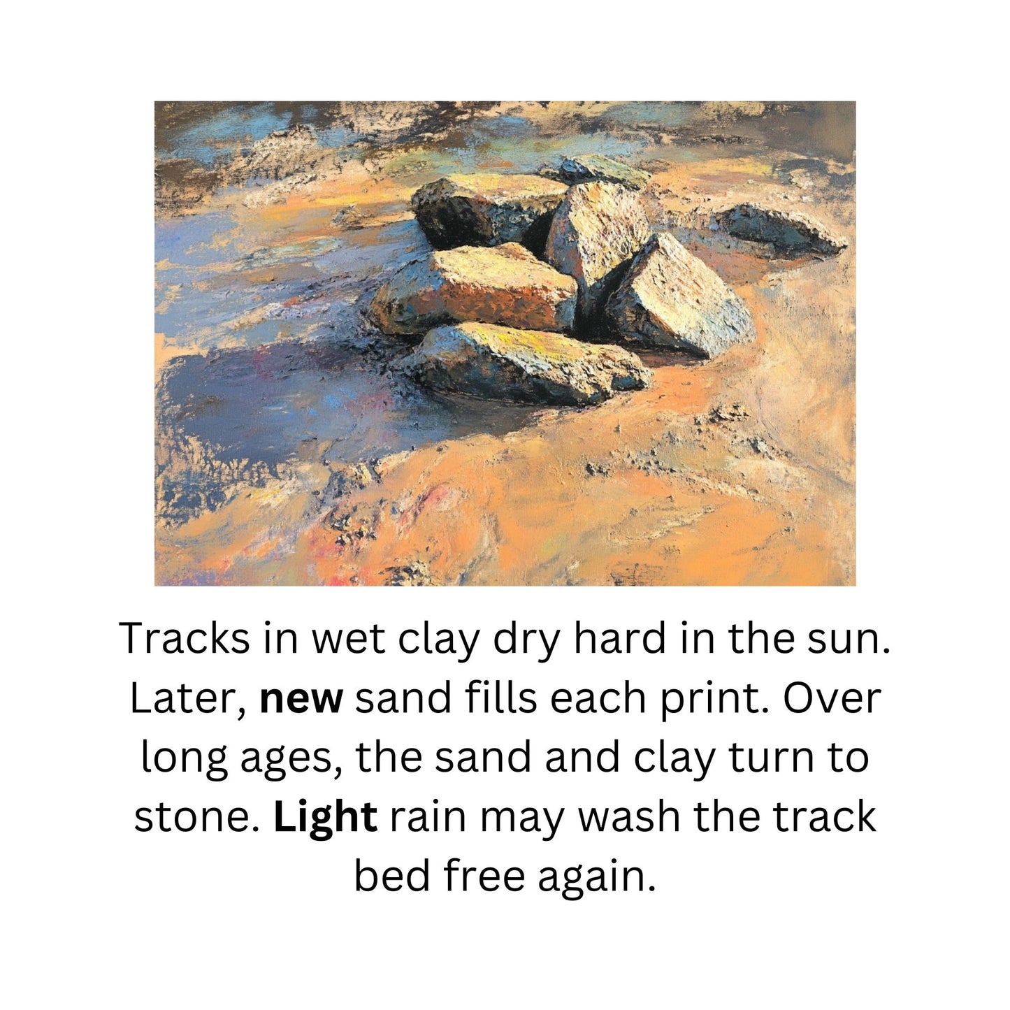Learn to Read with Orton Gillingham Nonfiction Decodable Readers: Diphthongs, Fossils, and Dinosaurs