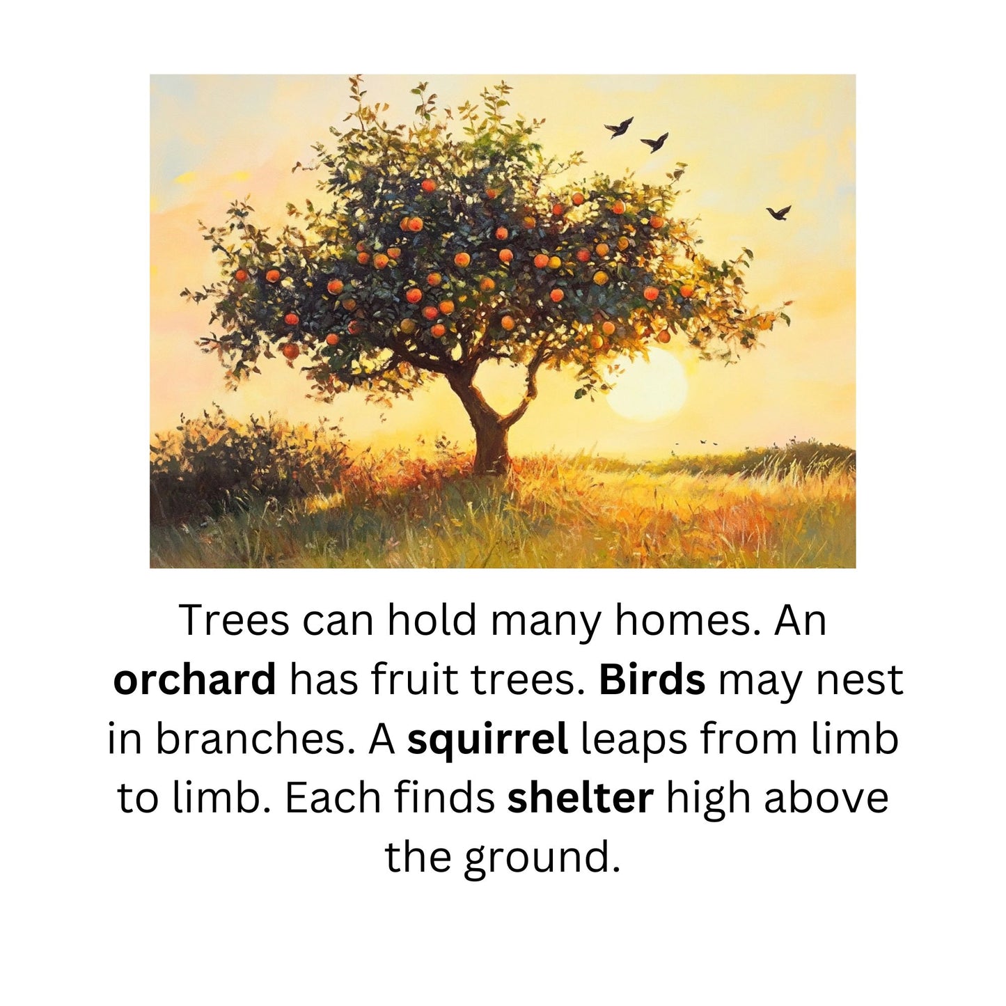 Learn to Read with Orton Gillingham Decodable Readers: Animal Habitats and Controlled R Sounds