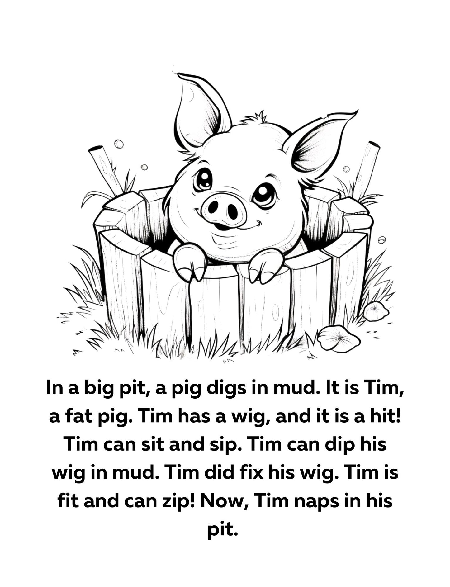 Orton Gillingham Decodable Books for Kindergarten and First Grade: Short Vowel Sounds