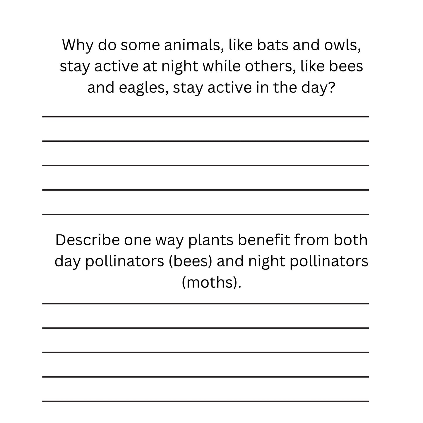 Night and day animals