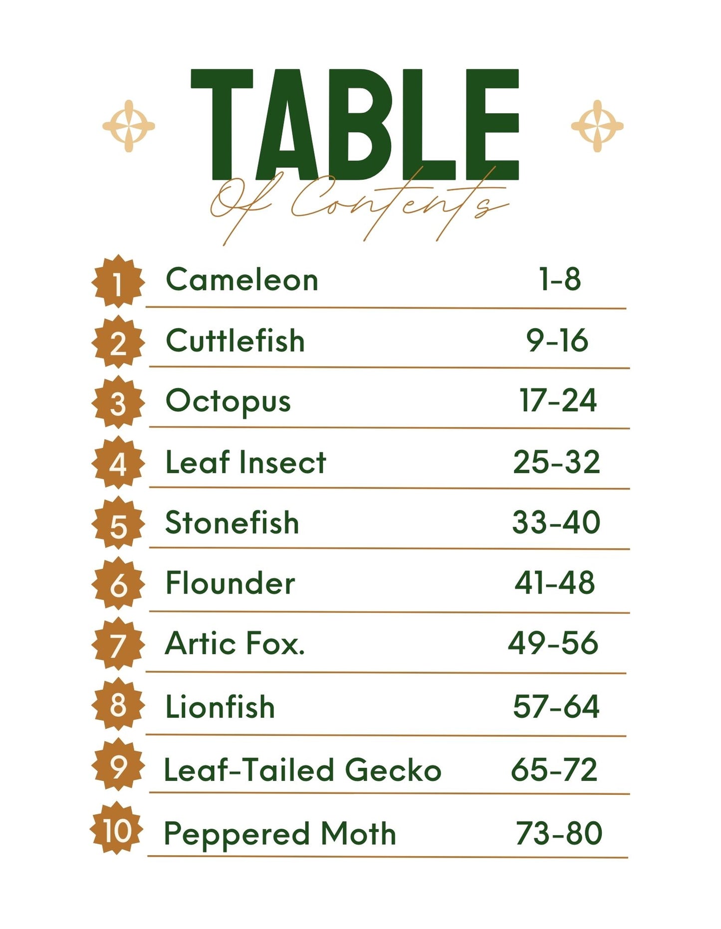 30 Minute Reading Test Grade 3:Animal Camouflage
