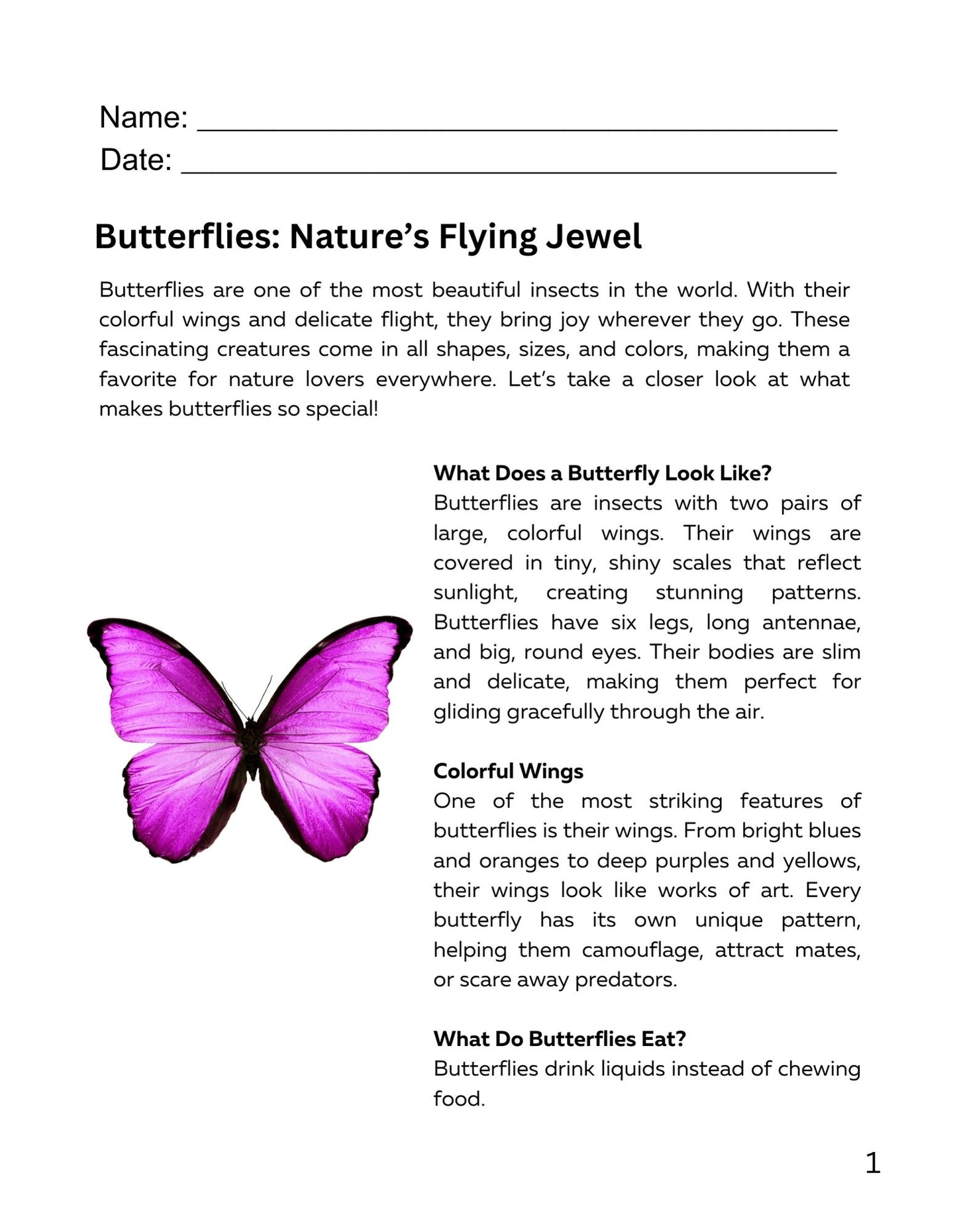 30 Minute Reading Test Grade 3:Insects