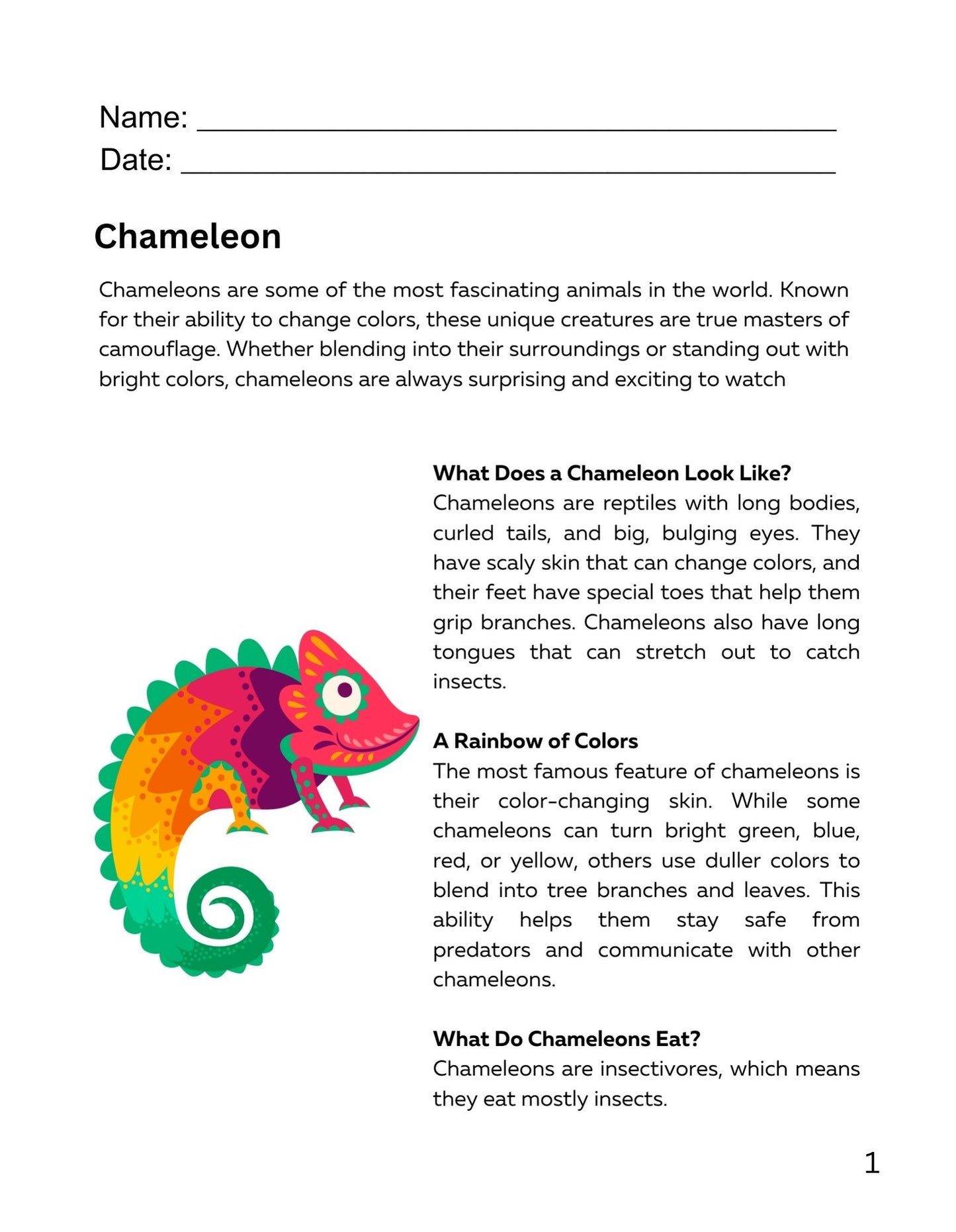30 Minute Reading Test Grade 3:Animal Camouflage