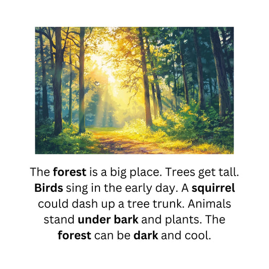 Learn to Read with Orton Gillingham Nonfiction Decodable Readers: Forest Life and Controlled R Sounds