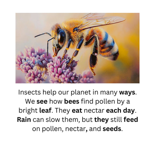 Learn to Read with Orton Gillingham Nonfiction Decodable Readers: Insects Jobs and Vowel Team Sounds