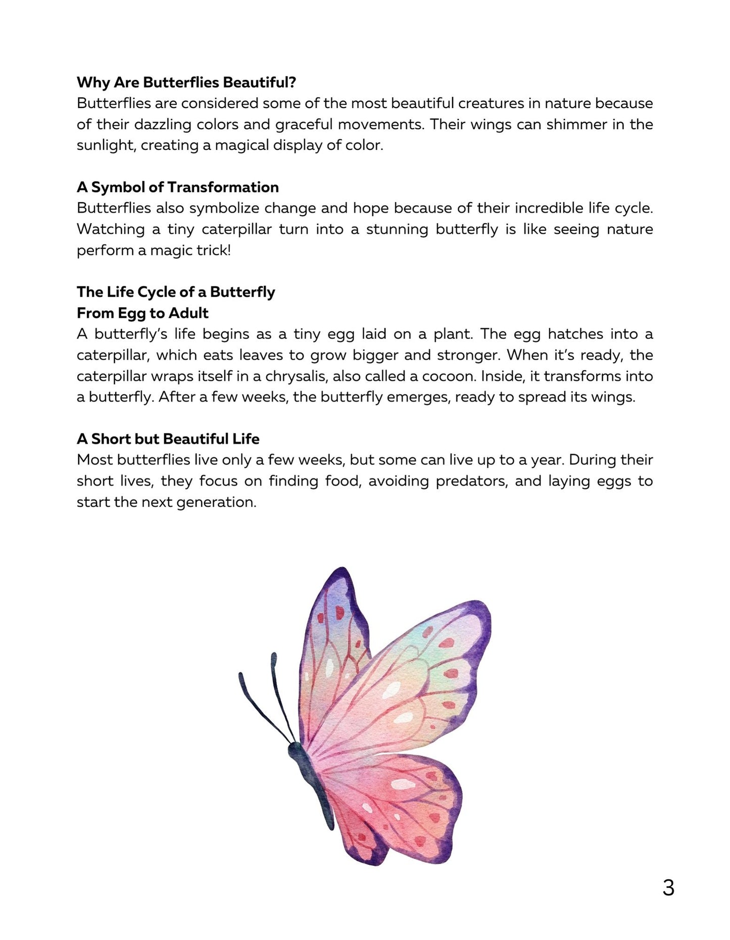 30 Minute Reading Test Grade 3:Insects