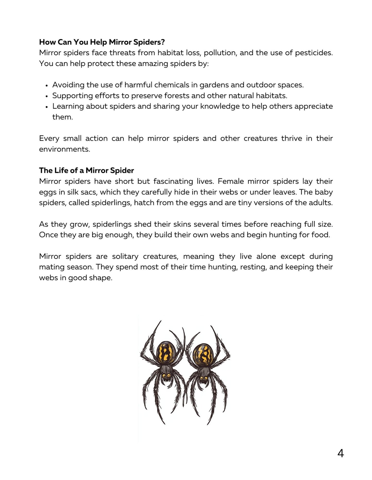 30 Minute Reading Test Grade 3: Spiders