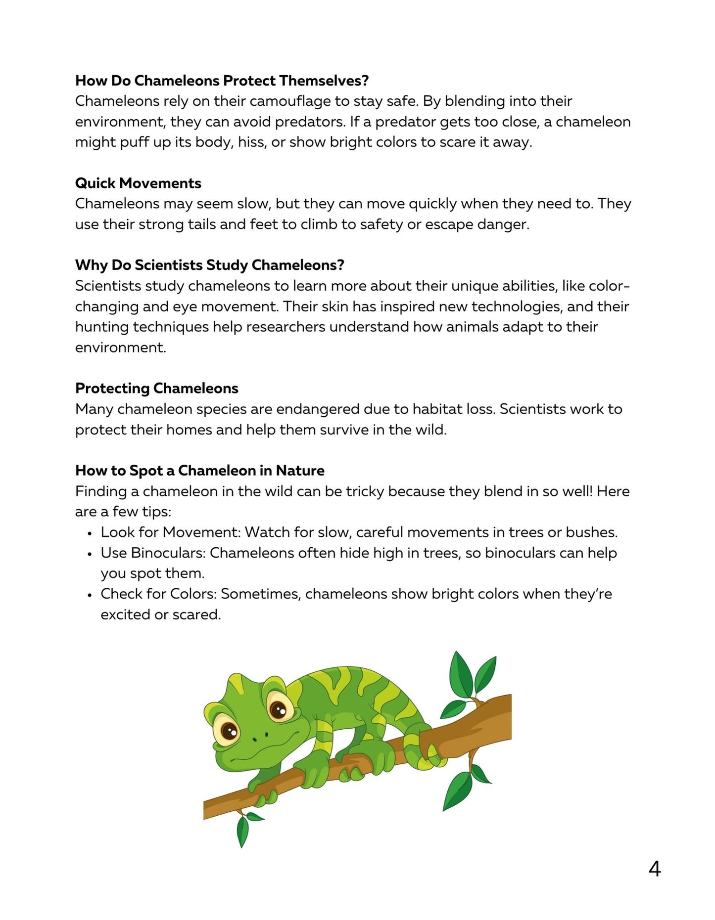 30 Minute Reading Test Grade 3:Animal Camouflage