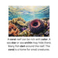 Learn to Read with Orton Gillingham Nonfiction Decodable Readers: Ocean Life and Controlled R Sounds
