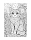 Animal Coloring Pages Reading Fluency for Second Grade