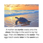 Learn to Read with Orton Gillingham Nonfiction Decodable Readers: Ocean Life and Controlled R Sounds