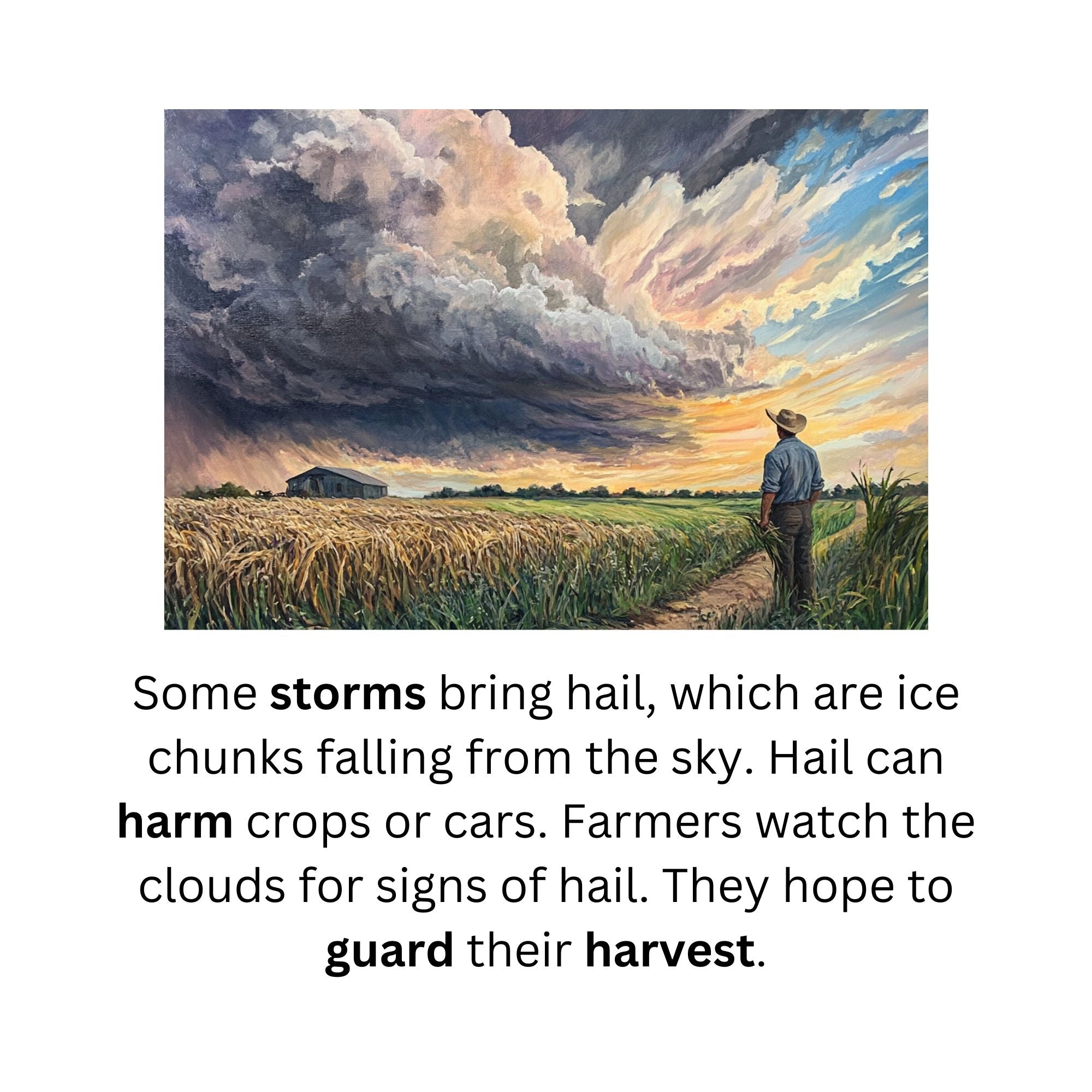 Structured Literacy Reading Curriculum Bundle For K-5