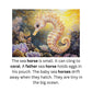 Learn to Read with Orton Gillingham Nonfiction Decodable Readers: Ocean Life and Controlled R Sounds