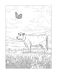 Farm Life Coloring Pages Reading Fluency: Third Grade