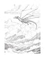 Dragon Coloring Pages Reading Fluency: Third Grade