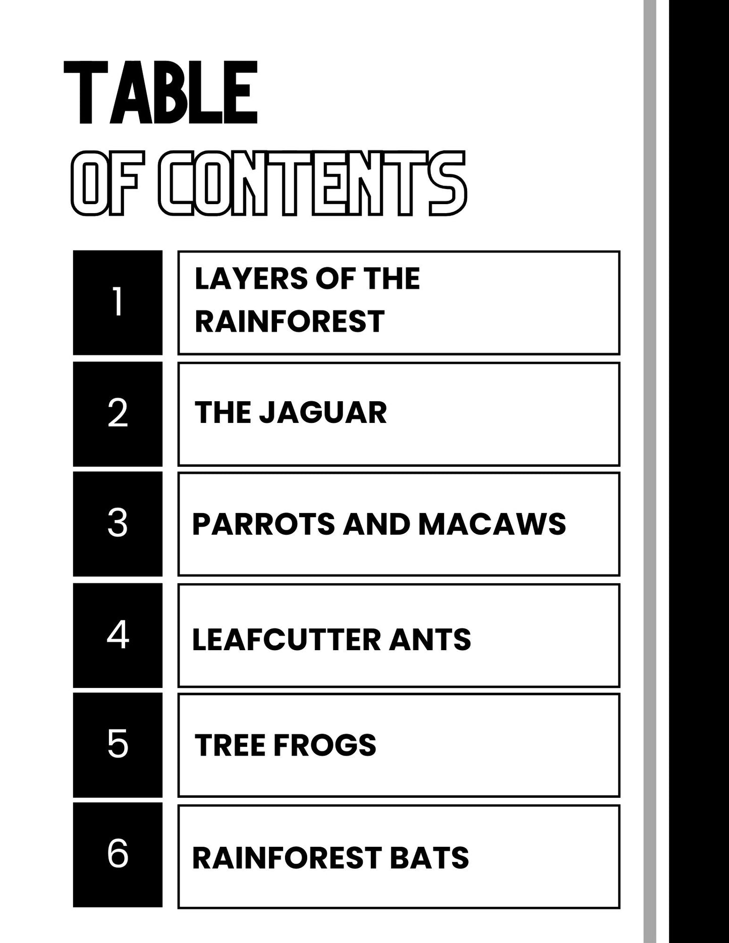 WIZ KIDS READING TEST GRADE 5: Rainforest Animals of the World