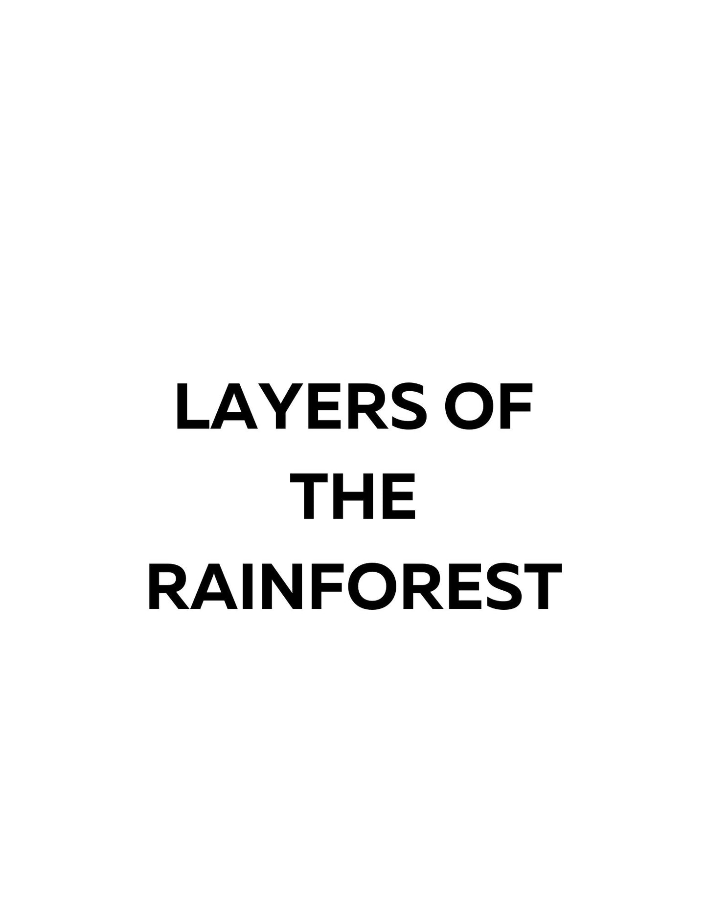 WIZ KIDS READING TEST GRADE 5: Rainforest Animals of the World