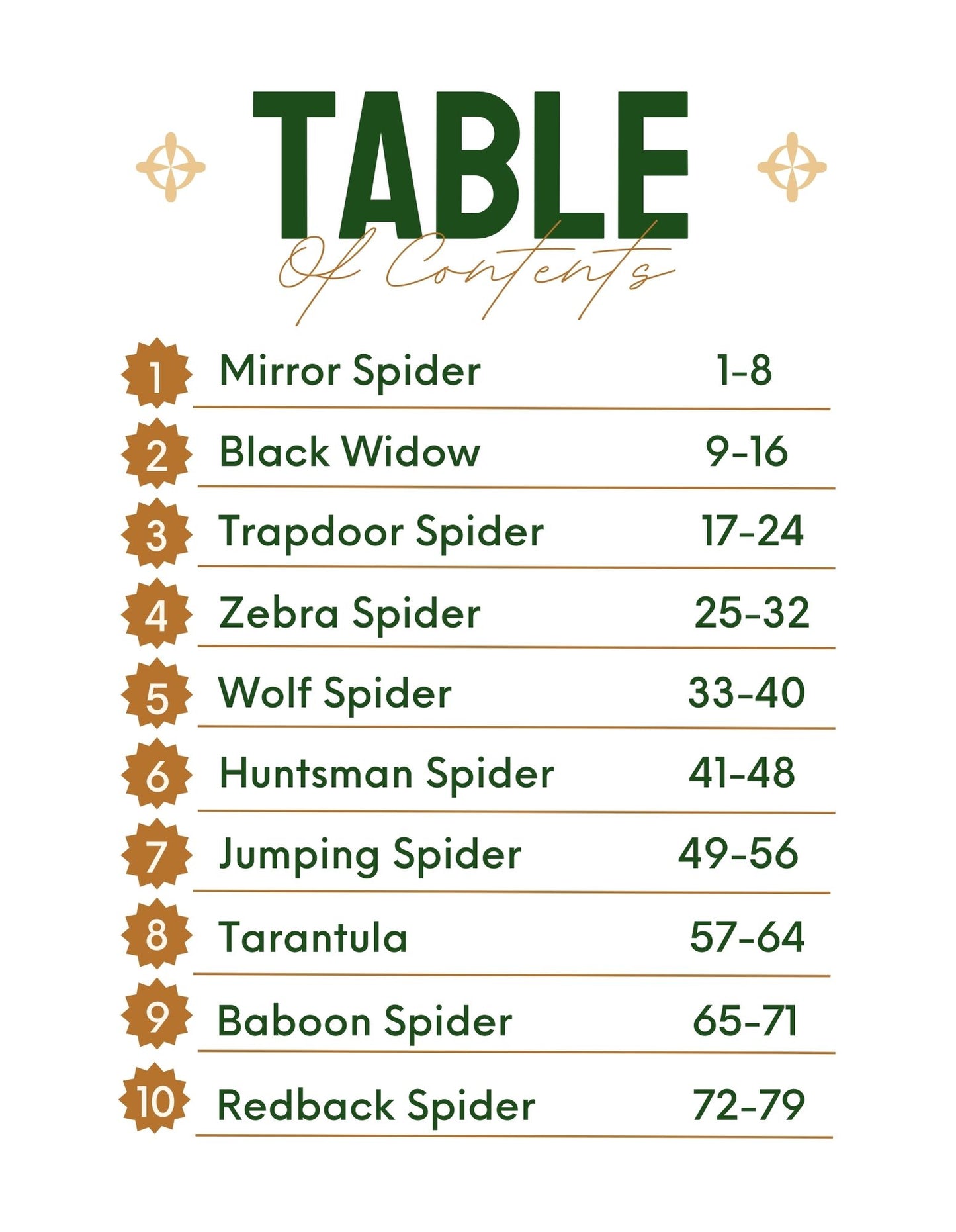 30 Minute Reading Test Grade 3:Spiders