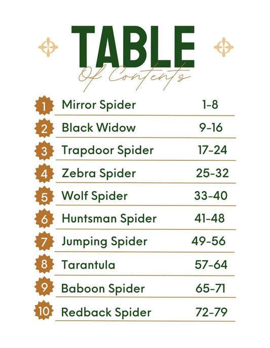 30 Minute Reading Test Grade 3: Spiders