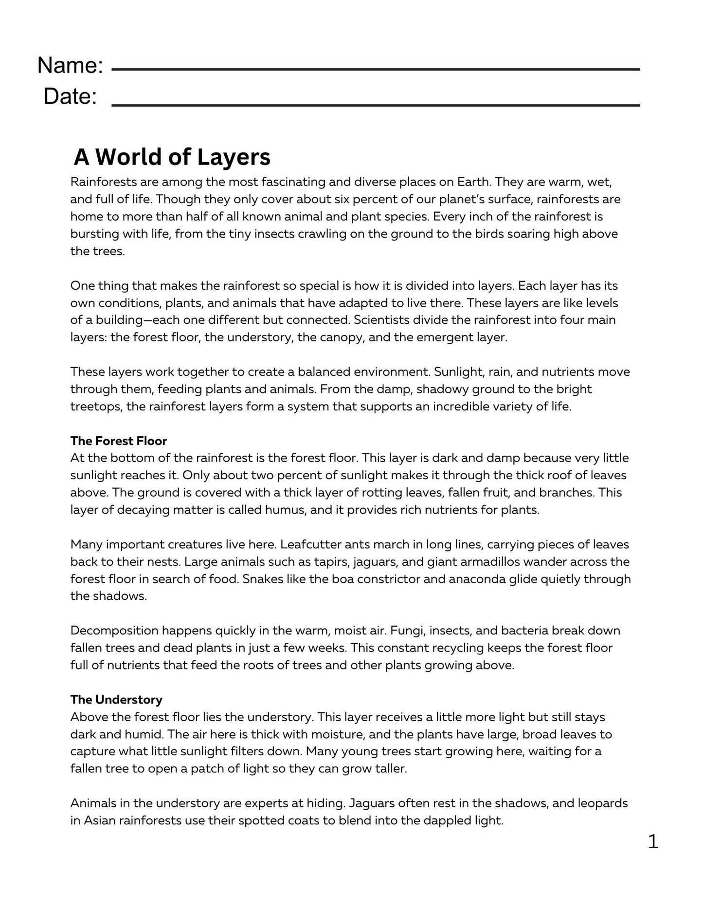 WIZ KIDS READING TEST GRADE 5: Rainforest Animals of the World