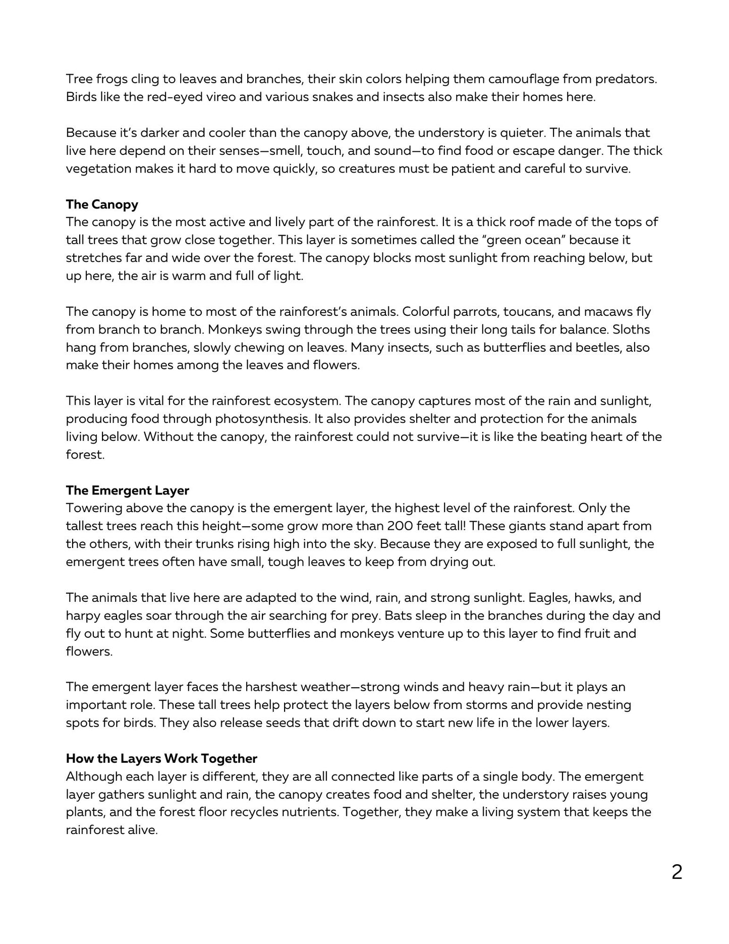 WIZ KIDS READING TEST GRADE 5: Rainforest Animals of the World