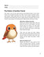 2nd Grade Reading Comprehension Success: Bird Edition