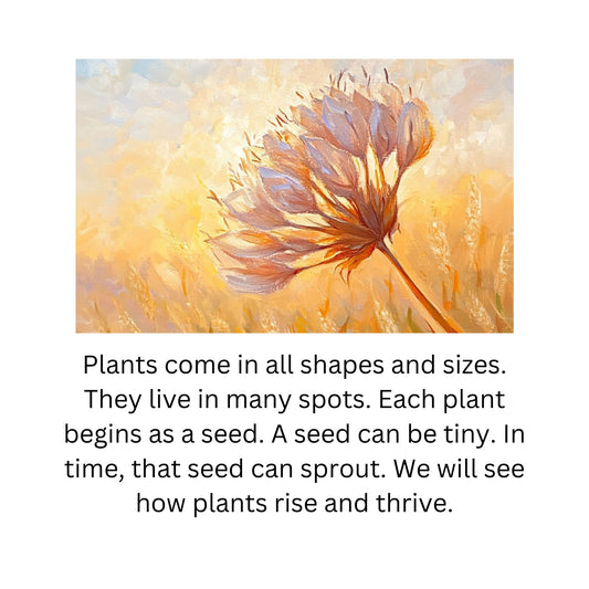 How Plants Grow