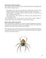 30 Minute Reading Test Grade 3:Spiders