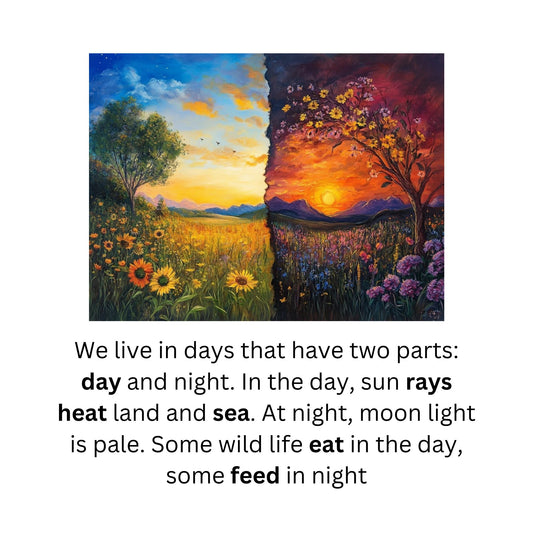 Night and day animals