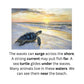 Learn to Read with Orton Gillingham Nonfiction Decodable Readers: Ocean Life and Controlled R Sounds